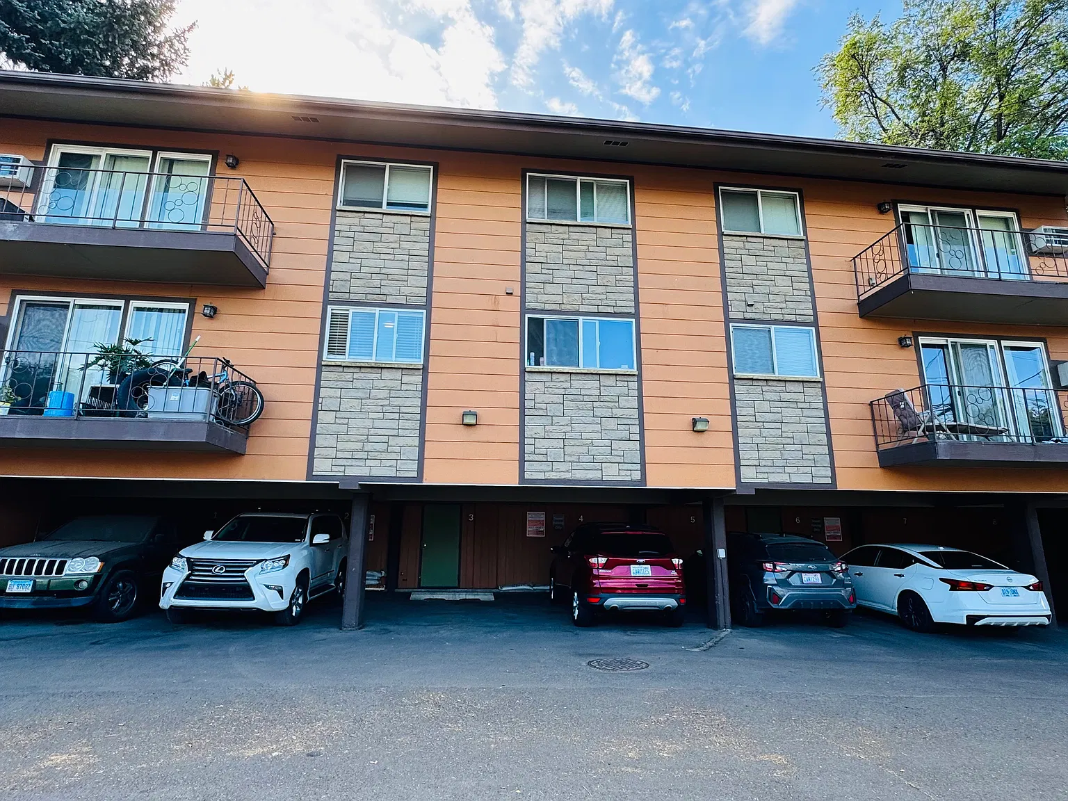 1 bed, 800 sqft, $1,300 — Photo 3