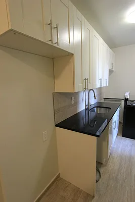 Rented by Silverstein Collection LLC  | media 16