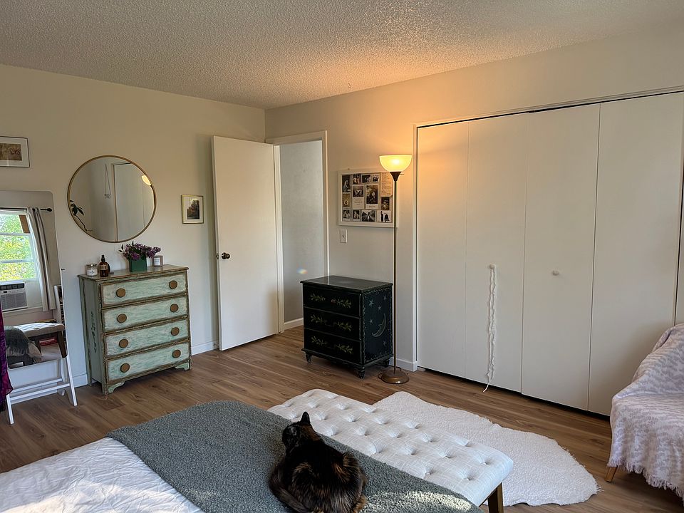 Primary bedroom, cat not included
