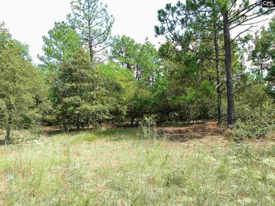 1402 Spring Creek Rd, Lugoff, SC, 29078