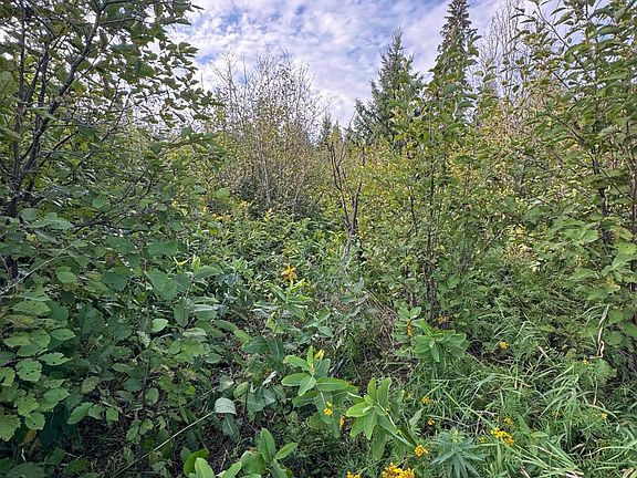 3rd image of Gull Lake Loop Rd NW