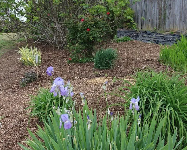 319 Hi Alta Ave — Photo 31