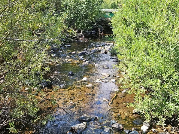 Nhn Jerry Creek Rd, Wise River, MT 59762