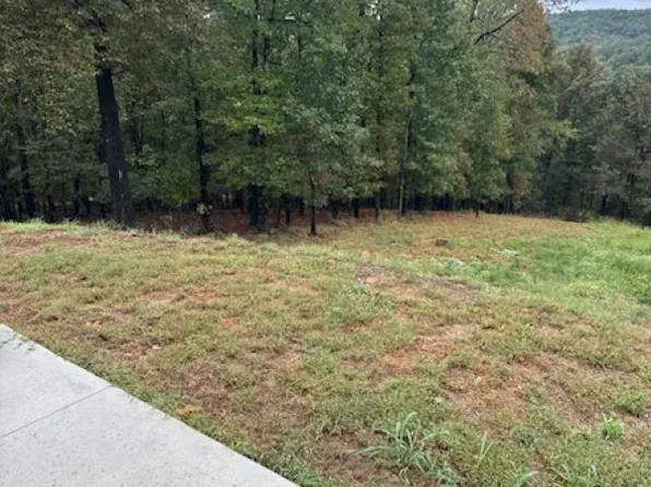 002-11235-211 Coppercreek Cir, Mountain Home, AR 72653
