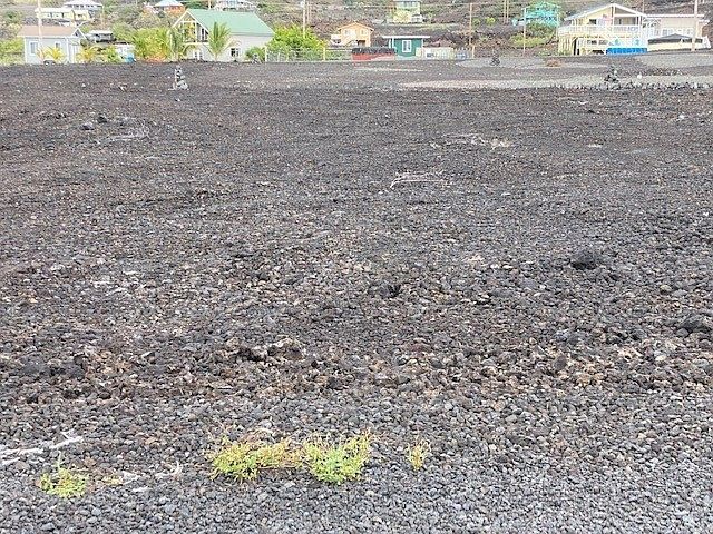 2nd image of Elima Ave Lot 8