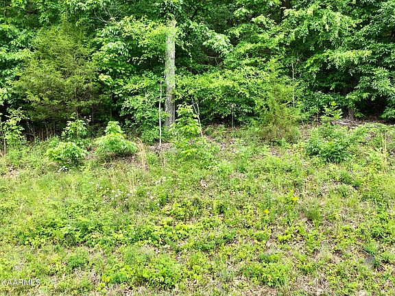 5th image of Melton Hill Dr