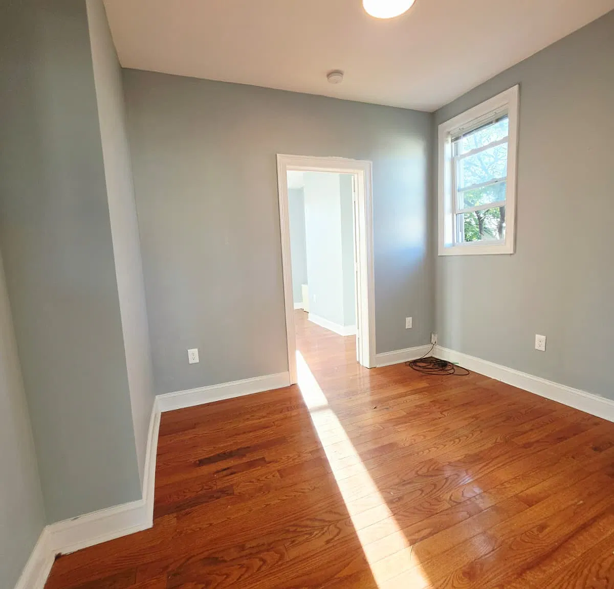 2 bed, 800 sqft, $1,950 — Photo 2
