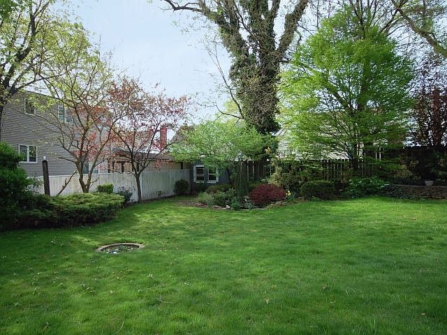 Back yard