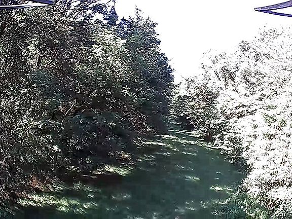 3rd image of 334 County Road 1980 E