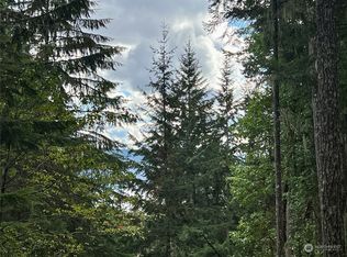 200 N Will Webb Rd, Lilliwaup, WA 98555