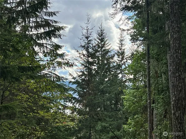 200 N Will Webb Road, Lilliwaup, WA 98555