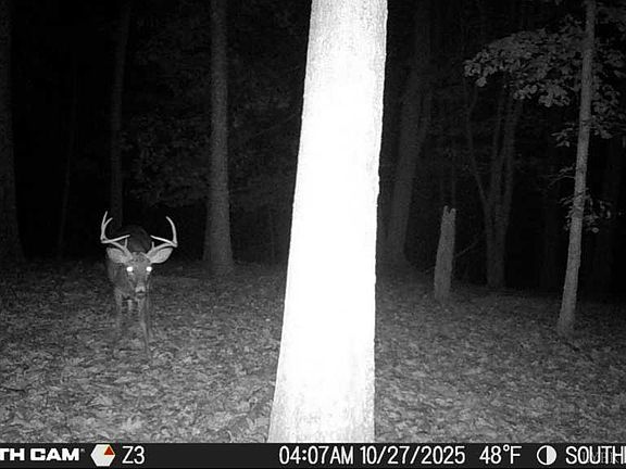 5th image of 0 Wagon Trail Rd