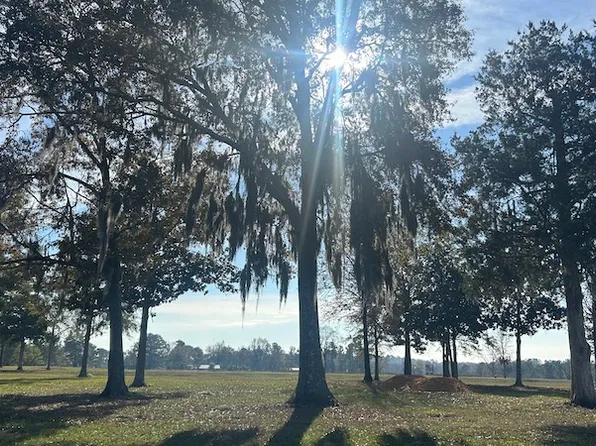 0 State Highway 85 Lot Wp001, Laurel Hill, FL 32567