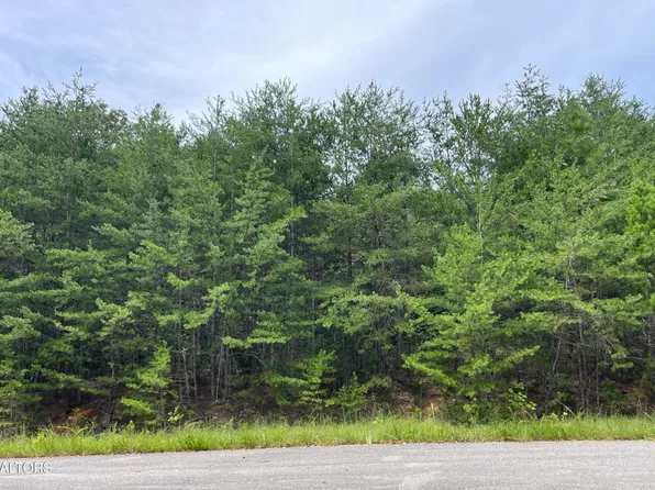 742 White Dogwood Rd, Cosby, TN 37722