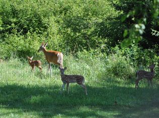 15656 L St, Omaha, NE 68135