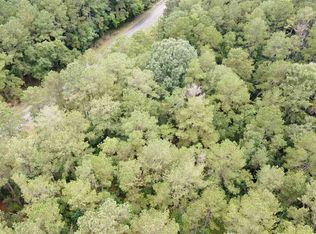 10 Noble Rd, Pineview, GA 31071