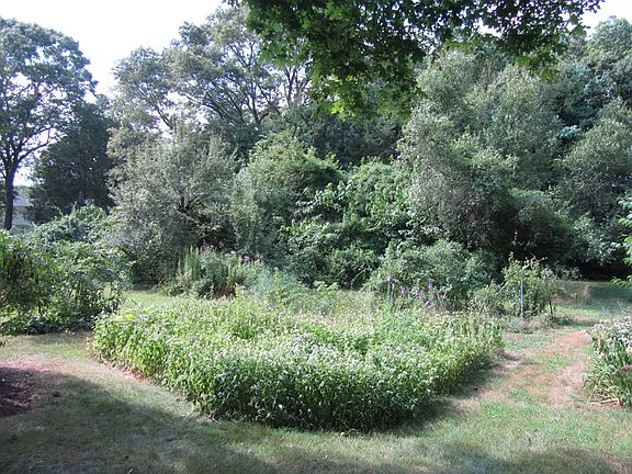 Garden area