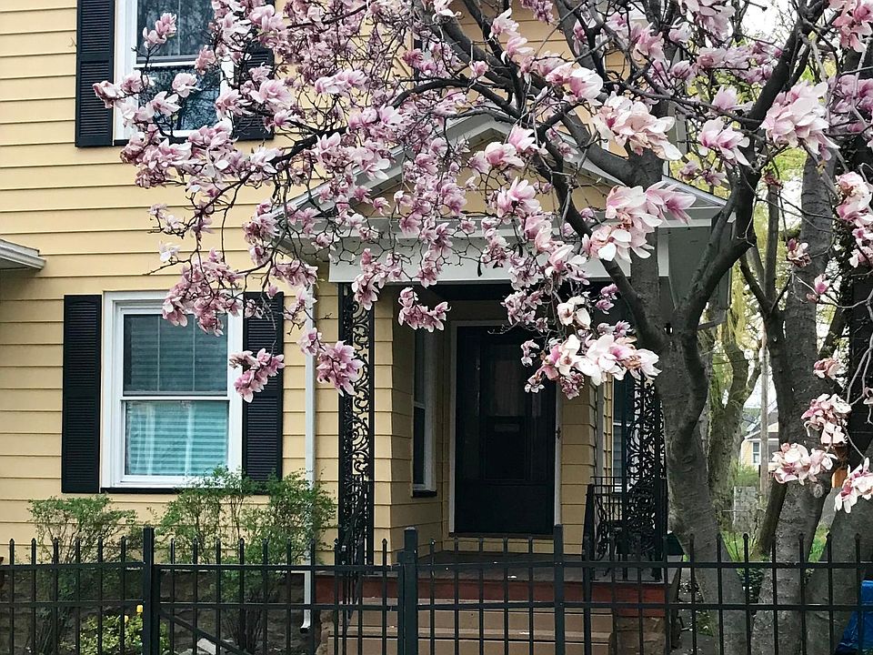 Charming Front Porch with magnolia shade tree