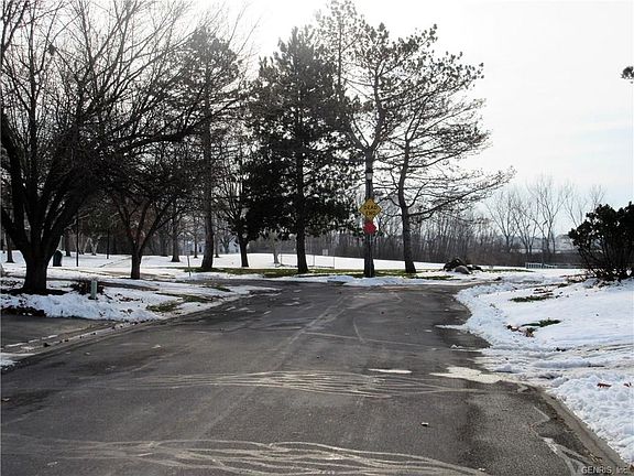2nd image of 9 Sundew Ln