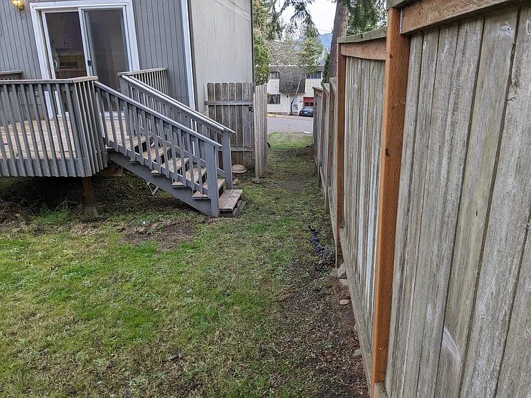 3310 Olive St #3310 — Photo 24