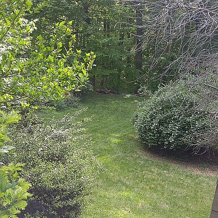Huge private back yard!