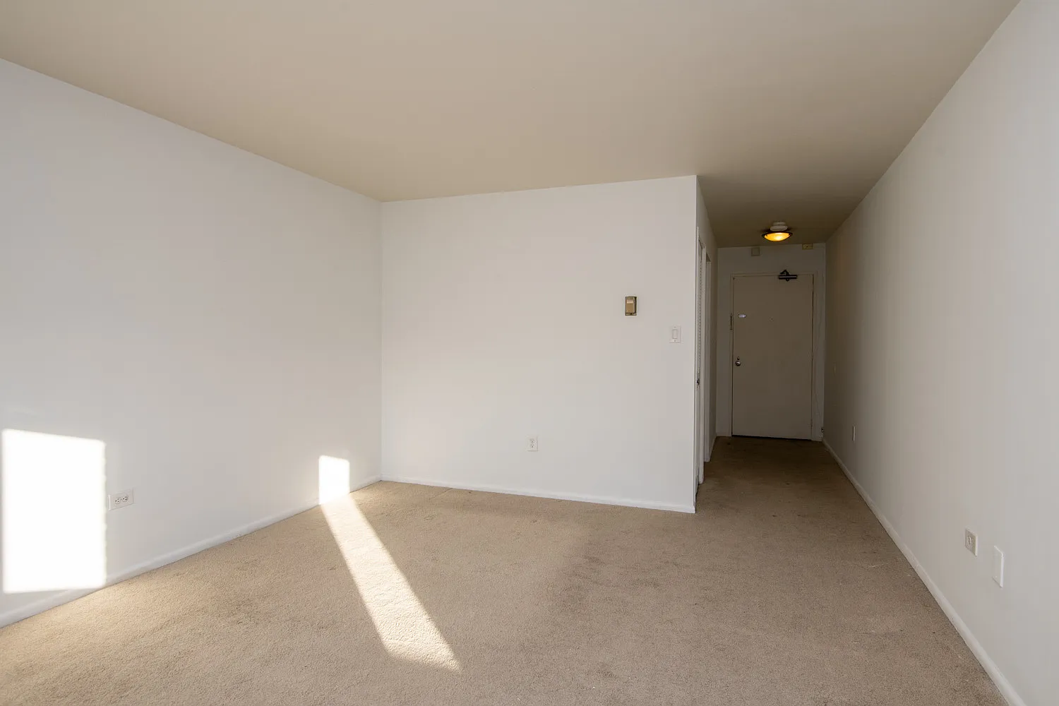 Studio, 463 sqft, $1,495 — Photo 2