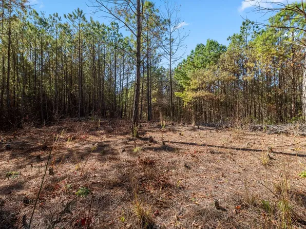 LOT 5 Skyline Rd, Turtletown, TN 37391