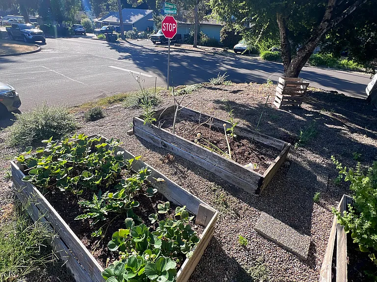 Garden Beds