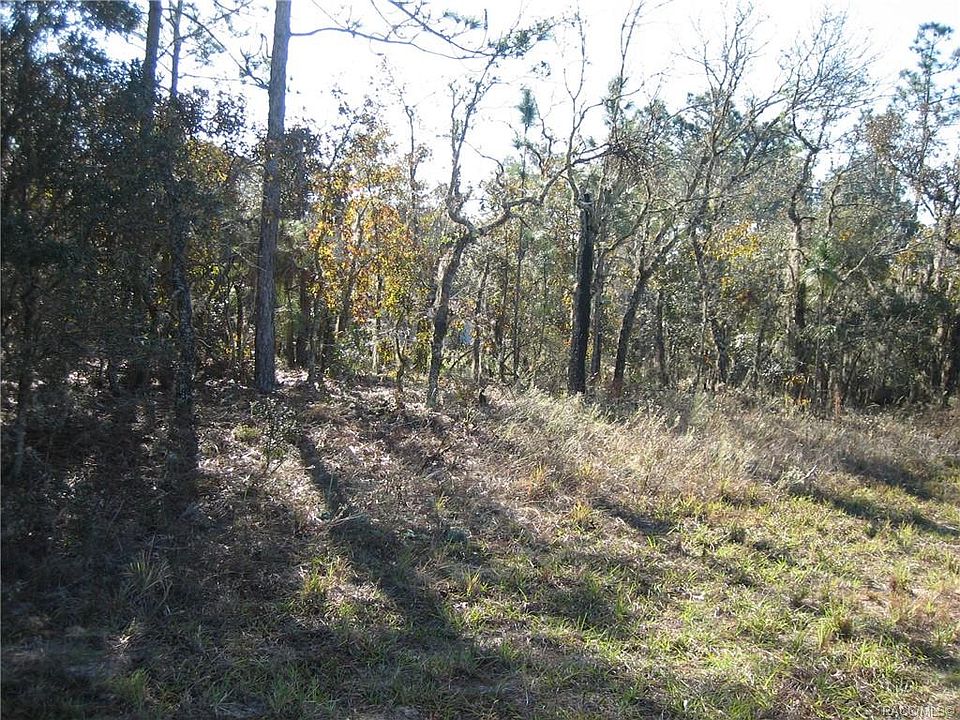 2nd image of 9815 N Dana Way