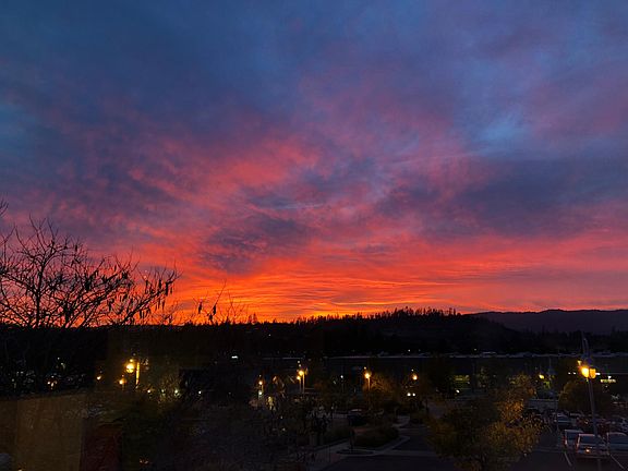 View from kitchen window