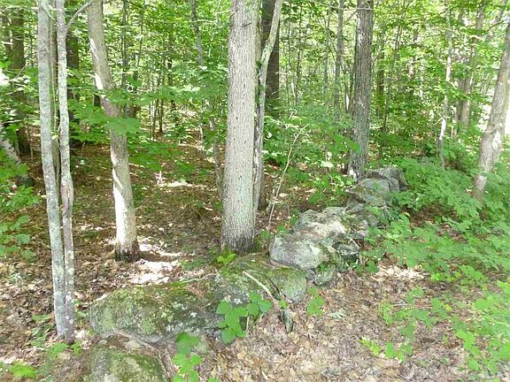 4th image of Lot 190-020 Heath / Lovell Lake Road