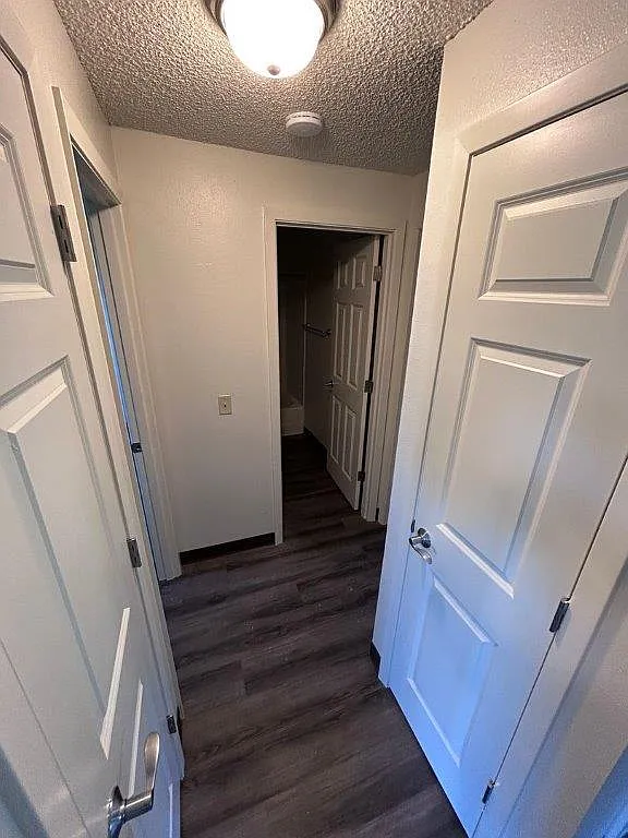 2 bed, 750 sqft, $1,250 — Photo 3