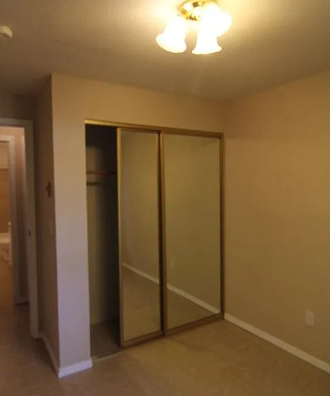 Mirrored Bedroom Closets