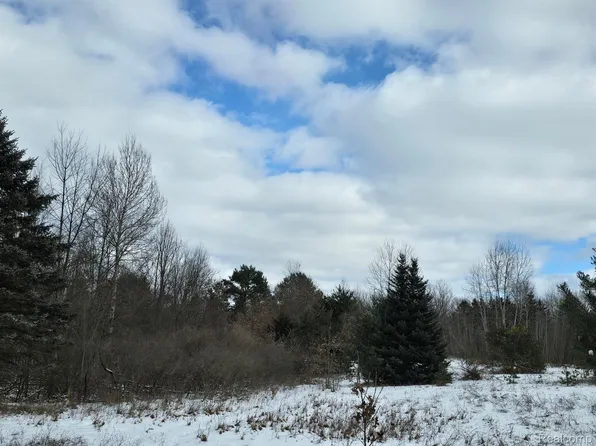 0 Falkenbury Rd, North Branch, MI 48461