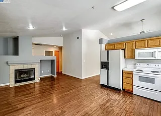 509 Saddleback Cir — Photo 5