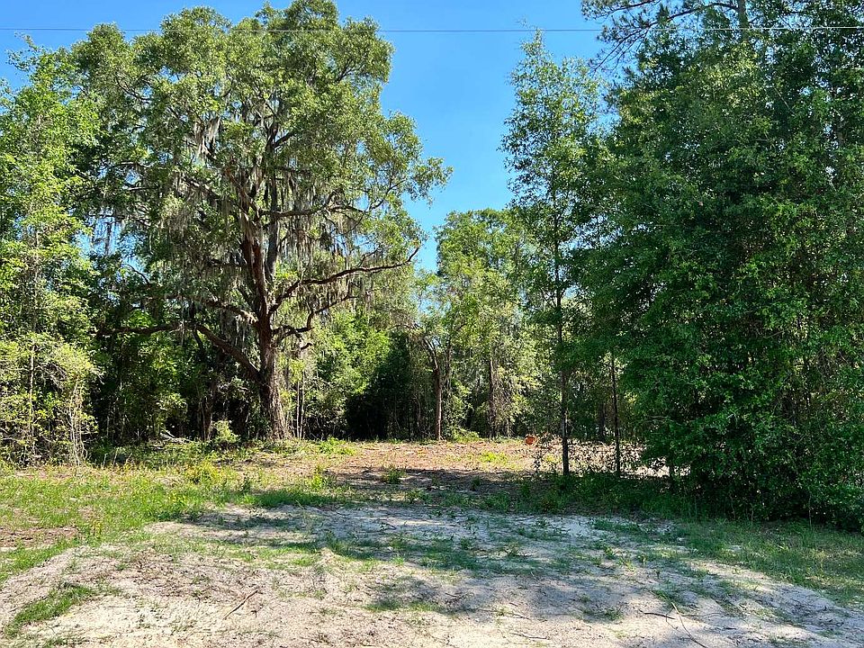 1st image of Treeline Gln