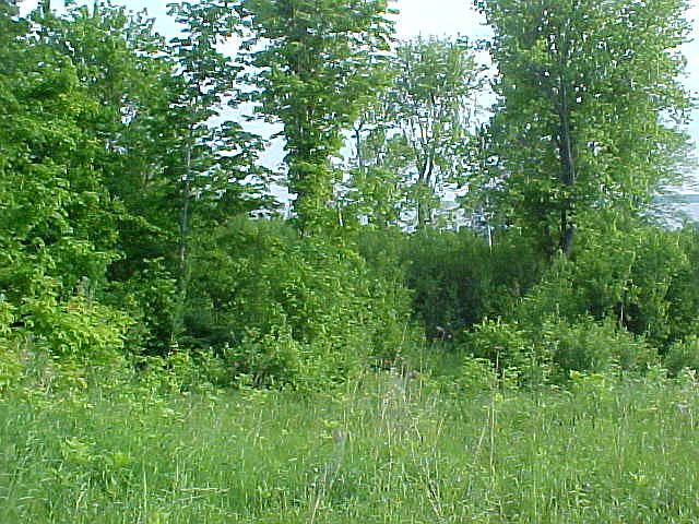 1st image of Lot 17 Cr 480