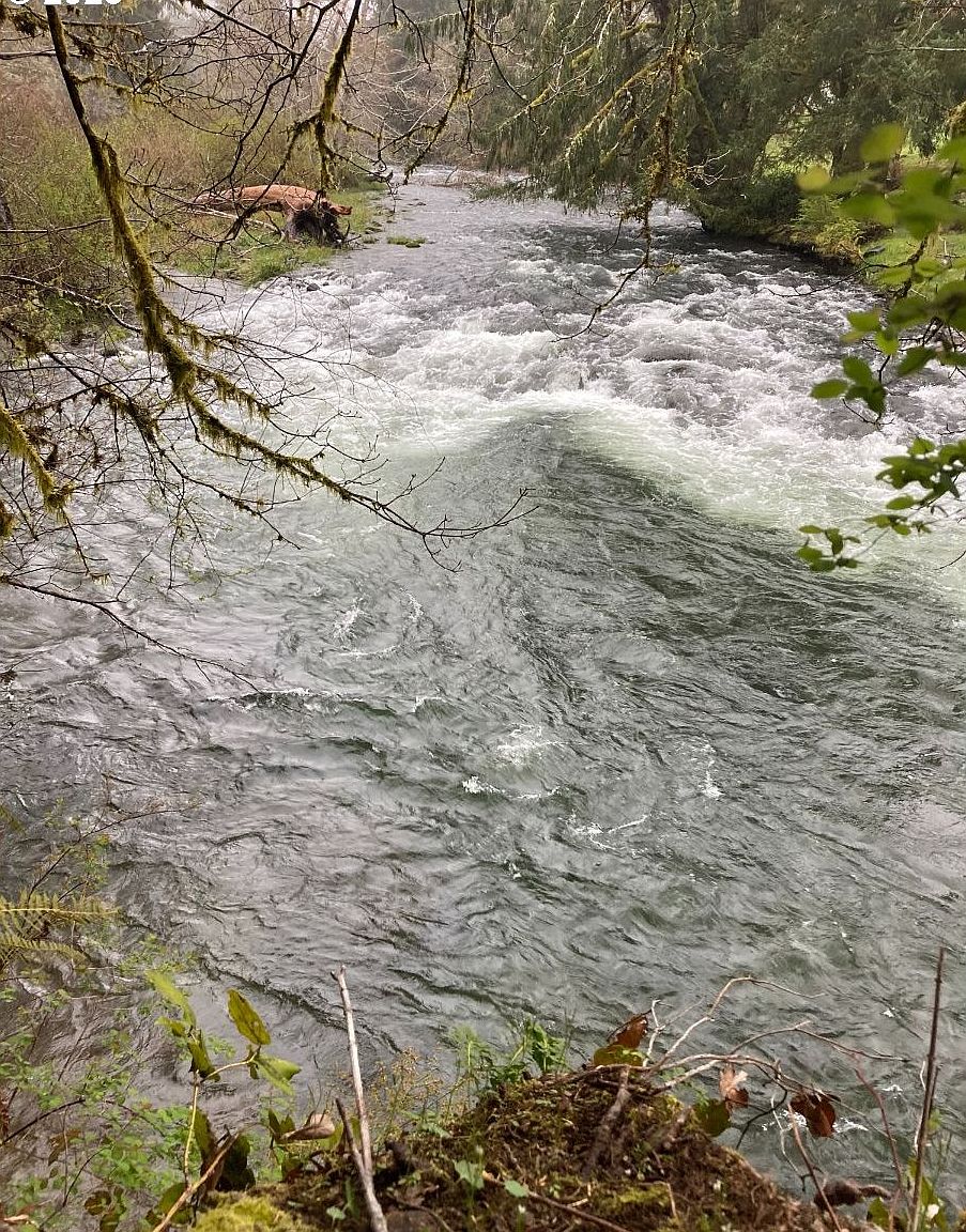 2850 N North Bank Rd, Otis, OR 97368 | Zillow