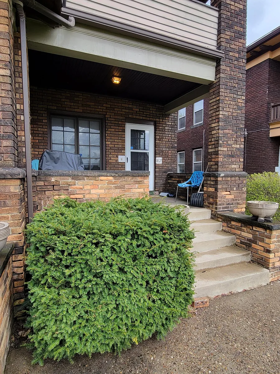 Building Photo - 1627 Shady Ave