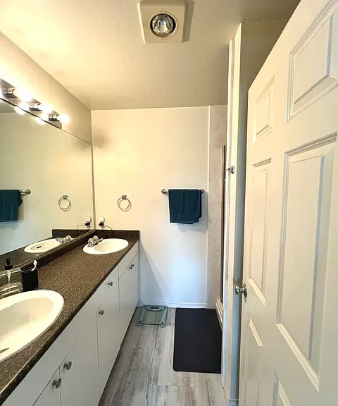 Double sink primary bathroom