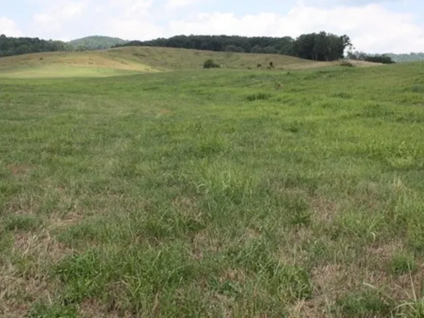 Reedy Creek Rd, Bristol, VA 24202