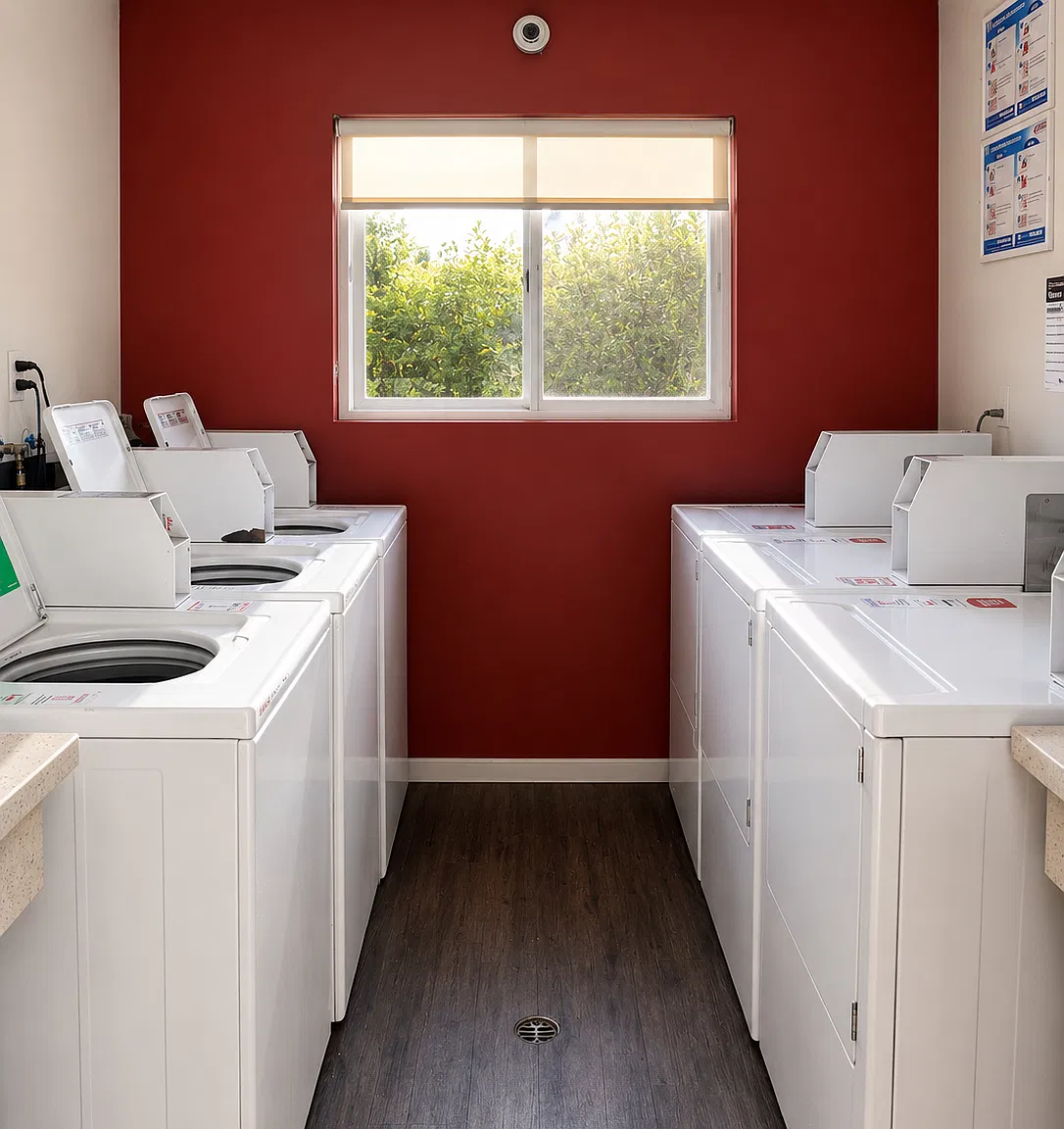 14851 Vanowen Studio Sandra — Photo 4