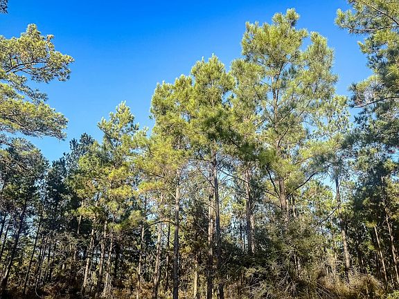 Compass South Land Sales Louisiana Old River Road 5