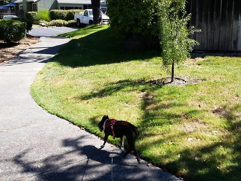 688 Racquet Club Cir — Photo 30