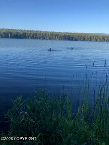 No Road Susitna Lake Rd, Glennallen, AK, 99588