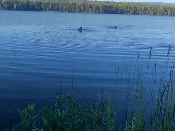 No Road Susitna Lake Rd, Glennallen, AK 99588