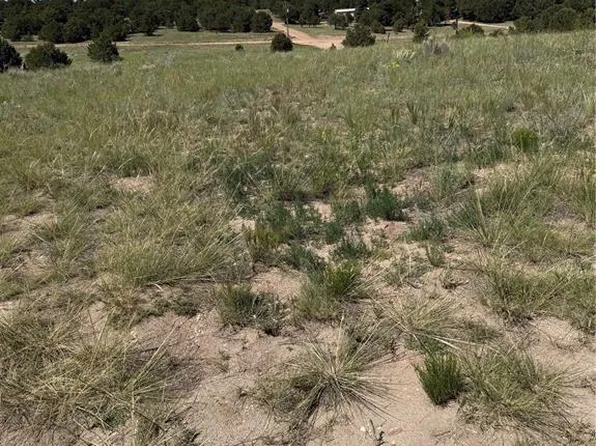 1739 17th Trl, Cotopaxi, CO 81223