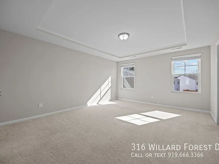 316 Willard Forest Dr — Photo 36