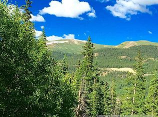 1314 Quartzville Rd, Alma, CO 80420