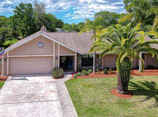 20 Fernbrook Rd, Oldsmar, FL 34677